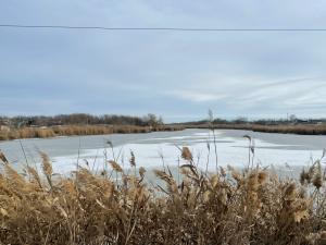 Морозы накроют Азов в первую рабочую неделю января 2026 года