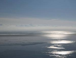 Запасы рыбы в акватории Азовского моря достигли исторического минимума