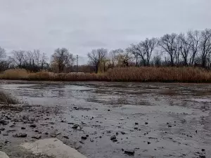 В устье реки Дон с 23 января ожидается ветровой сгон воды