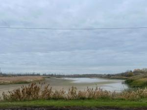 Рекордное маловодье Дона зафиксировано в Ростовской области в 2025 году