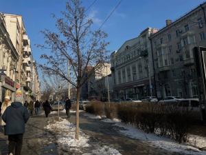 В Азове на этой неделе синоптики обещают потепление до +5