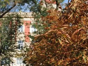 В Азове наступит потепление с 12 февраля