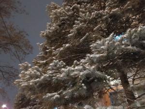 Жителей Азова предупредили о перепадах температур от -6 до +11 градусов