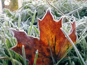 На праздничные выходные в Азове температура днем дойдет до +5 градусов