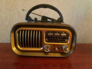 Жители Ростовской области в первые дни марта могут столкнуться с временными перебоями в работе телевидения и радио