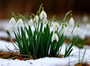 На праздничных выходных в Азове потеплеет до +8 градусов