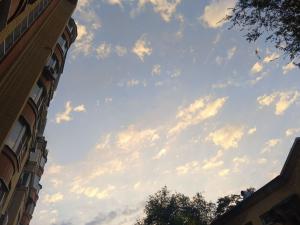 12 беспилотников уничтожили над акваторией Азовского моря