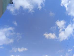 ПВО перехватили дрон над акваторией Азовского моря