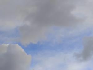 Сильный ветер с дождем прогнозируются на выходных в Азове