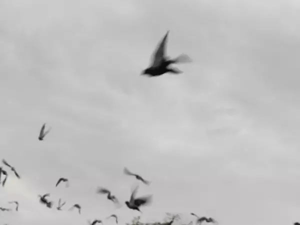 В ближайшую рабочую неделю в Азове будет тепло, но облачно