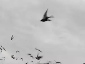 В ближайшую рабочую неделю в Азове будет тепло, но облачно