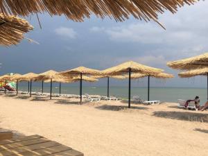 В Ростовской области назван единственный пляж, который получил «Синий флаг» качества