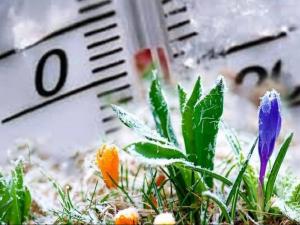 В Азовском районе перед выходными ударят заморозки до -3 градусов