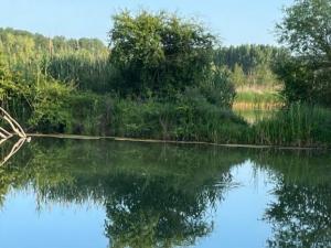 В Азове и устье Дона ожидается резкий сгон воды 27 апреля