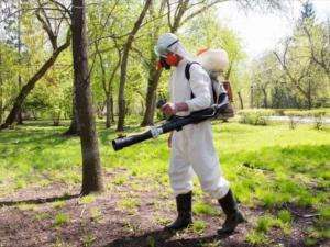 Жителей Азова предупредили о противоклещевой обработке 28 и 29 апреля