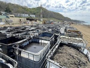 На Азовское море может повлиять разлив мазута в Туапсе