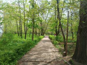 В Азове на майские выходные потеплеет до +14 градусов