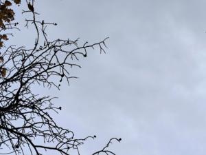 В Азовском районе сбили ракеты во время ночной воздушной атаки