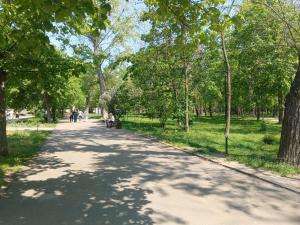 На первых выходных июня в Азове потеплеет до +27 градусов