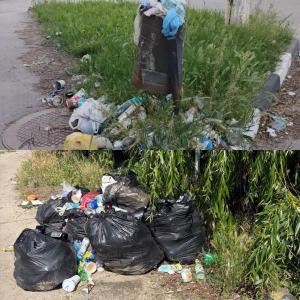 Ведра для мусора утопают в отходах на улицах Азова