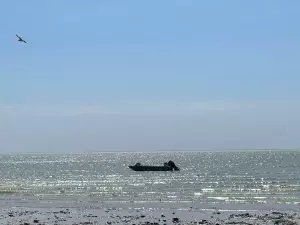 В Азовском море наблюдается рост количества мусора и обломков БПЛА